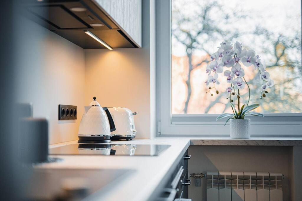 New Luxury 3Br Apartment In Old Town, Free Parking Hapsal Exteriör bild