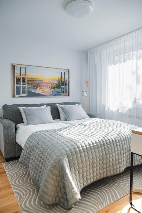 New Luxury 3Br Apartment In Old Town, Free Parking Hapsal Exteriör bild